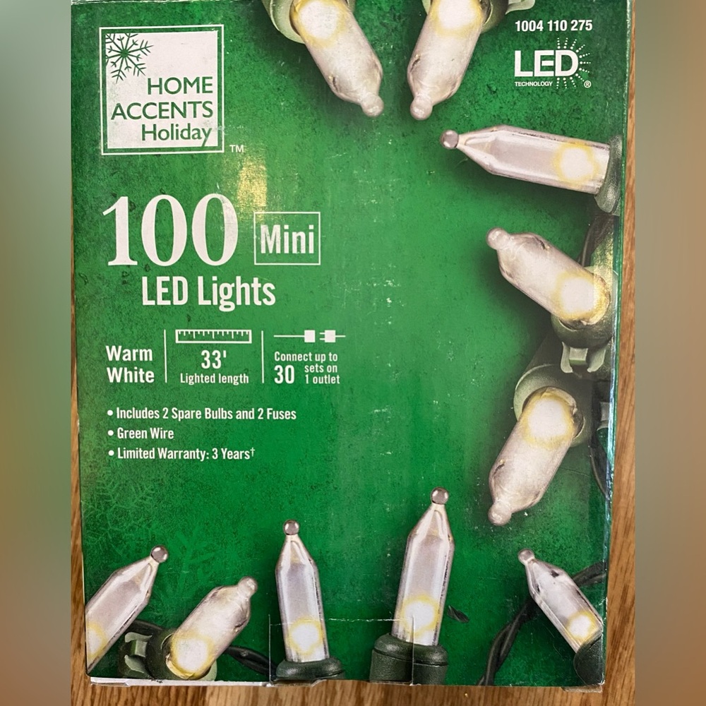 Home Accents Holiday 100 Mini LED Lights Warm White NIB
